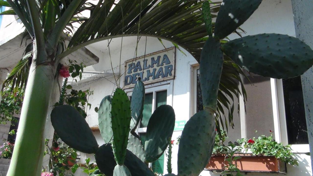 Palma Del Mar 2 Villa ปูแอร์โต บาเกริโซ โมเรโน ภายนอก รูปภาพ